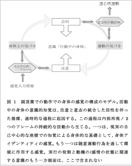 Sirigu 京都　訪問看護ステーション　訪問リハビリ　認知神経リハビリテーション